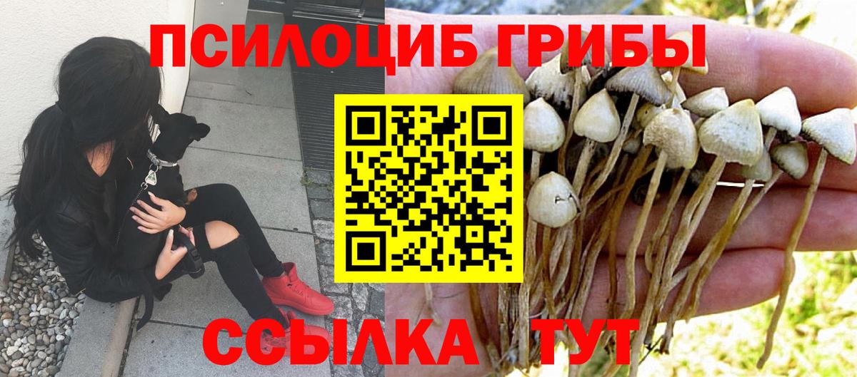 дарнет шоп  Вход с VPN  Славгород  Галлюциногенные грибы Magic Shrooms 